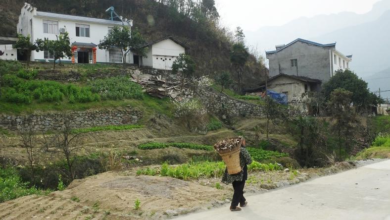 为宅基地制度改革划线